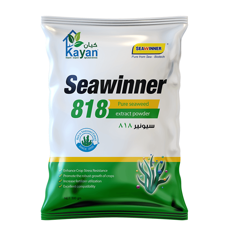 سيونير 818 - مستخلص طحالب بحرية طبيعية