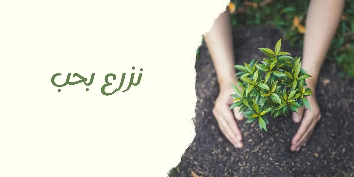 دعم فني واستشارات زراعية وتسميد